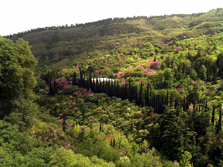 Botanic Garden Tbilisi